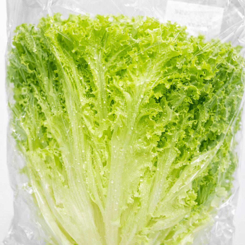 防曇袋に入ったレタス