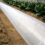 ポリダクトの使用例