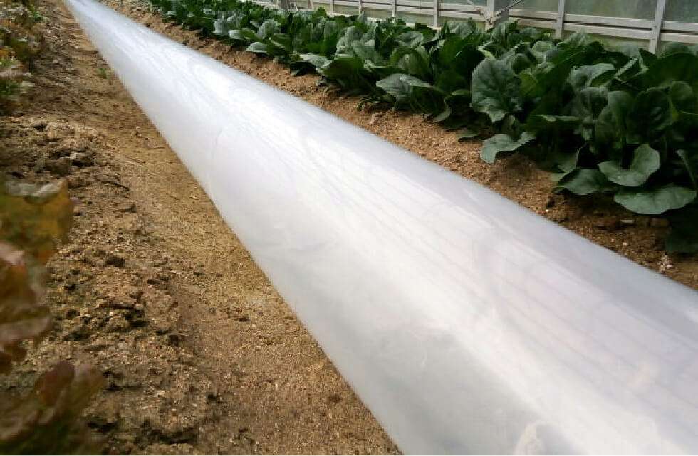 ポリダクトの使用例